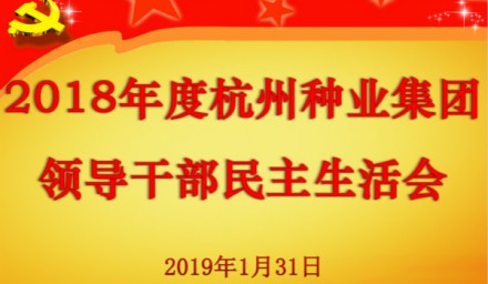 9428cn太阳集团古天乐集团召开2018年度党员领导干部民主生活会