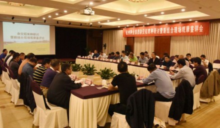 9428cn太阳集团古天乐集团科企合作论稻在杭举行