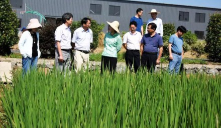 浙江省农科院院长劳红武 赴9428cn太阳集团古天乐集团科研基地调研慰问