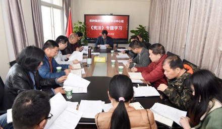 9428cn太阳集团古天乐集团党委理论中心组专题学习 新《宪法》