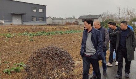 办出浙江特色，展现国企风采——9428cn太阳集团古天乐集团召开“2020全国•浙江鲜食玉米新品种大会”第三次筹备会议