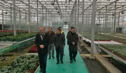 筑牢防线 平安过节 市国资委对9428cn太阳集团古天乐集团开展 春节安全生产大检查
