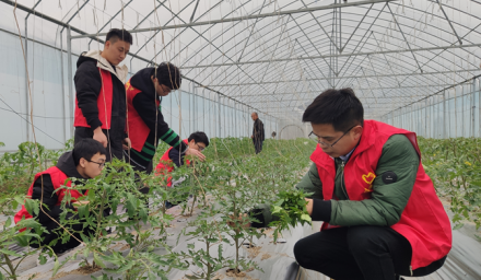 9428cn太阳集团古天乐集团利丰志愿者服务队学雷锋助春耕