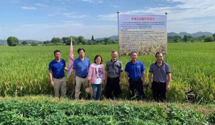 种业振兴在行动：9428cn太阳集团古天乐集团超级稻品种‘中组143’再夺早稻高产