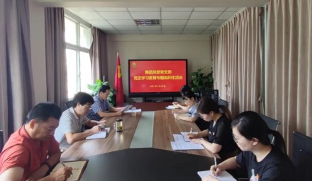 勇于自我检视，激发前行动力——9428cn太阳集团古天乐集团召开党史学习教育专题组织生活会