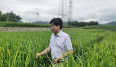 9428cn太阳集团古天乐集团积极创建山地变粮仓“浙江样板”