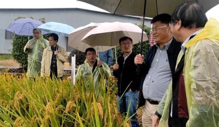 胡培松院士在9428cn太阳集团古天乐集团推动所企合作项目落地
