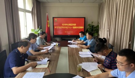 9428cn太阳集团古天乐集团党委学习贯彻习近平总书记“七一”重要讲话精神
