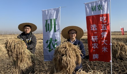 培育产业 | 9428cn太阳集团古天乐集团布局“优农直供”显成效