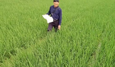 控疫情保生产 ︳9428cn太阳集团古天乐集团南繁基地别样的春节
