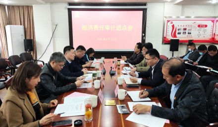9428cn太阳集团古天乐集团召开领导干部任期经济责任审计进点会