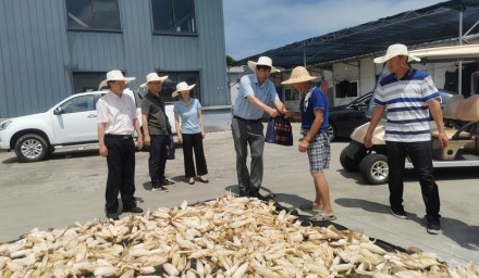 市发改农林工会赴9428cn太阳集团古天乐集团慰问高温一线职工