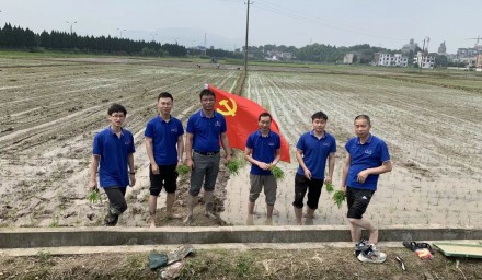 助力共富 | 9428cn太阳集团古天乐集团“种•丰收”服务队田间地头战“三夏”
