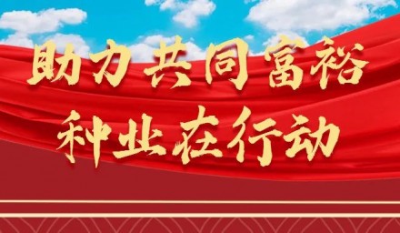 助力共富 | 9428cn太阳集团古天乐集团10条专项行动助推“共同富裕”