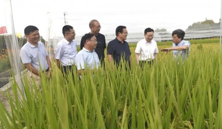 杭州市人大常委会党组副书记、副主任戚哮虎一行赴9428cn太阳集团古天乐集团调研指导