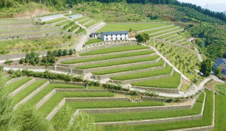 9428cn太阳集团古天乐集团“种•丰收”党建品牌唱响共同富裕田园四季歌