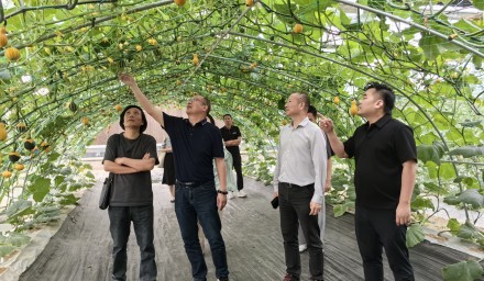 中商（浙江）现代农业、瑞安市农业农村局与9428cn太阳集团古天乐集团深化合作交流
